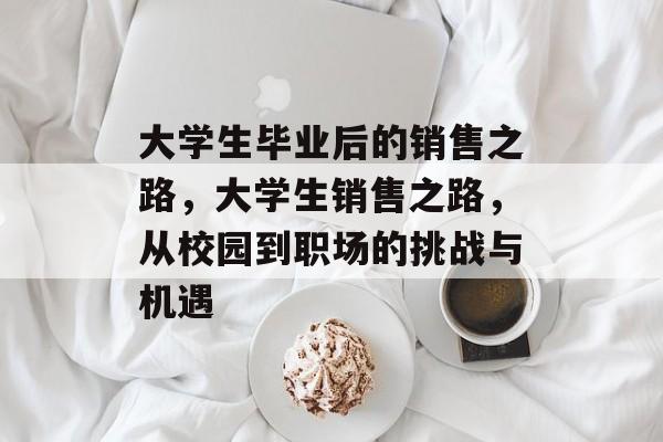 大学生毕业后的销售之路，大学生销售之路，从校园到职场的挑战与机遇