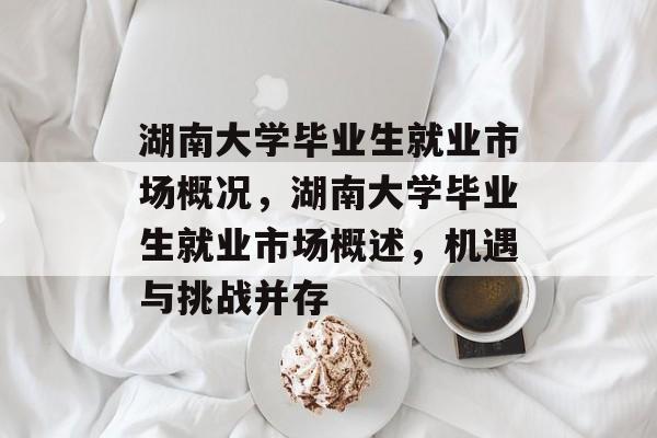湖南大学毕业生就业市场概况，湖南大学毕业生就业市场概述，机遇与挑战并存