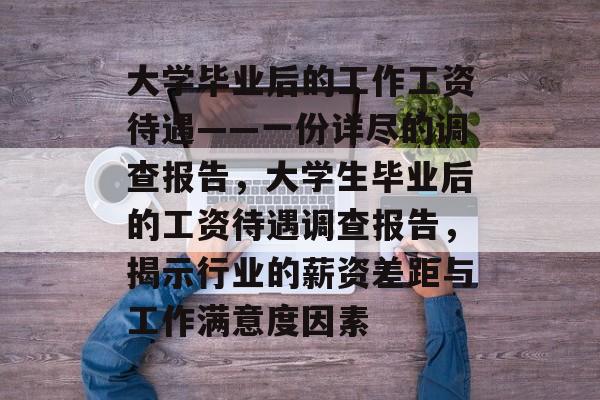 大学毕业后的工作工资待遇——一份详尽的调查报告，大学生毕业后的工资待遇调查报告，揭示行业的薪资差距与工作满意度因素