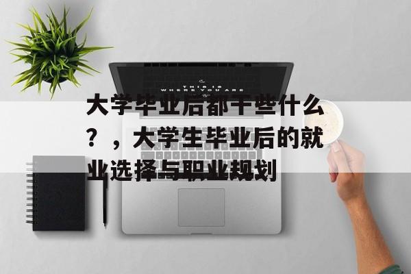 大学毕业后都干些什么？，大学生毕业后的就业选择与职业规划