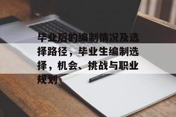 毕业后的编制情况及选择路径，毕业生编制选择，机会、挑战与职业规划
