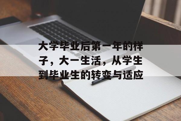 大学毕业后第一年的样子，大一生活，从学生到毕业生的转变与适应