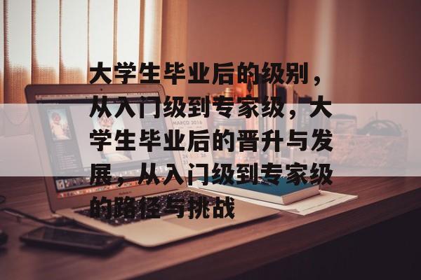 大学生毕业后的级别，从入门级到专家级，大学生毕业后的晋升与发展，从入门级到专家级的路径与挑战