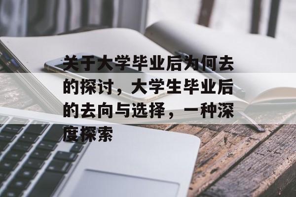 关于大学毕业后为何去的探讨，大学生毕业后的去向与选择，一种深度探索