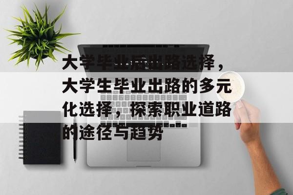 大学毕业后出路选择，大学生毕业出路的多元化选择，探索职业道路的途径与趋势
