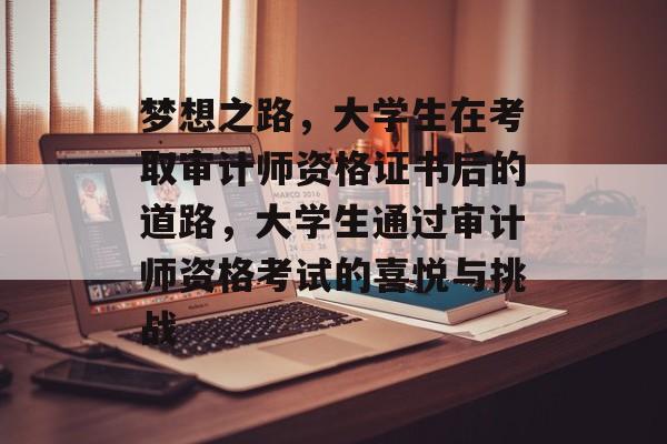 梦想之路，大学生在考取审计师资格证书后的道路，大学生通过审计师资格考试的喜悦与挑战