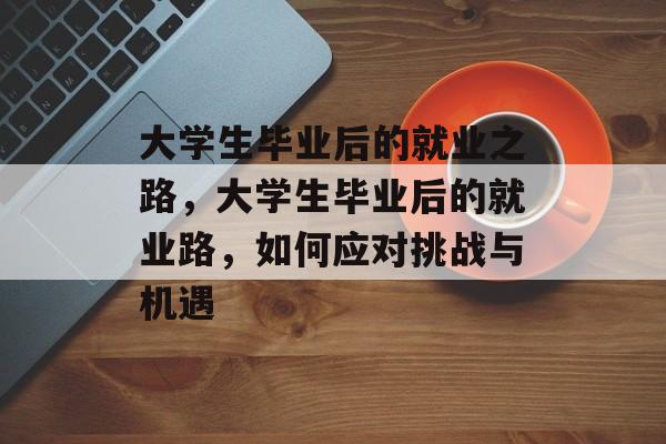 大学生毕业后的就业之路，大学生毕业后的就业路，如何应对挑战与机遇