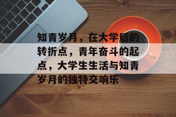 知青岁月，在大学后的转折点，青年奋斗的起点，大学生生活与知青岁月的独特交响乐
