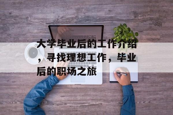 大学毕业后的工作介绍，寻找理想工作，毕业后的职场之旅