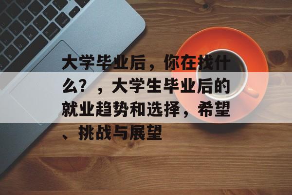 大学毕业后，你在找什么？，大学生毕业后的就业趋势和选择，希望、挑战与展望