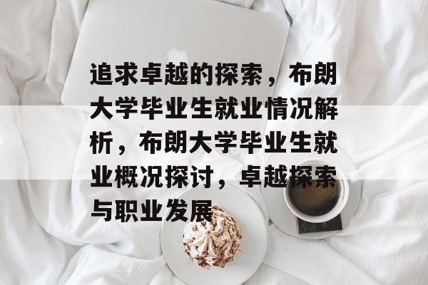 追求卓越的探索，布朗大学毕业生就业情况解析，布朗大学毕业生就业概况探讨，卓越探索与职业发展