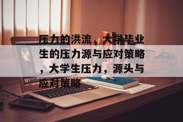 压力的洪流，大学毕业生的压力源与应对策略，大学生压力，源头与应对策略