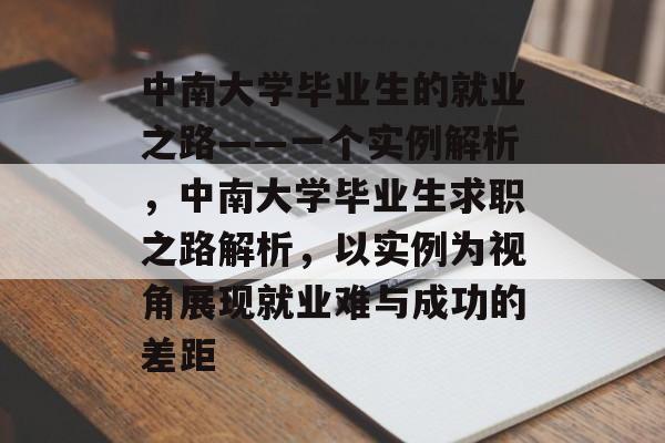 中南大学毕业生的就业之路——一个实例解析，中南大学毕业生求职之路解析，以实例为视角展现就业难与成功的差距
