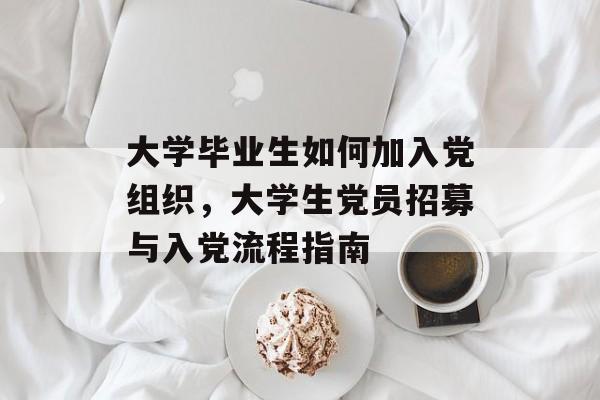 大学毕业生如何加入党组织，大学生党员招募与入党流程指南