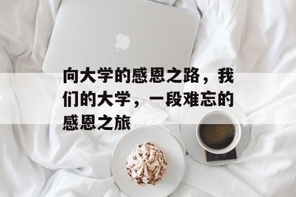 向大学的感恩之路,我们的大学,一段难忘的感恩之旅 向大学的感恩之路,我们的大学,一段难忘的感恩之旅
