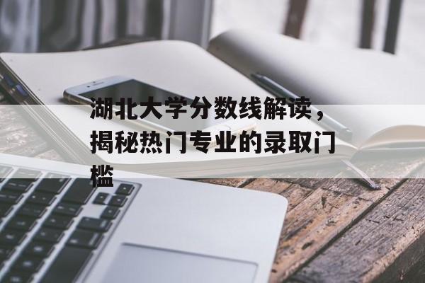 湖北大学分数线解读，揭秘热门专业的录取门槛