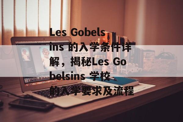 Les Gobelsins 的入学条件详解,揭秘Les Gobelsins 学校的入学要求及流程 Les Gobelsins 的入学条件详解,揭秘Les Gobelsins 学校的入学要求及流程