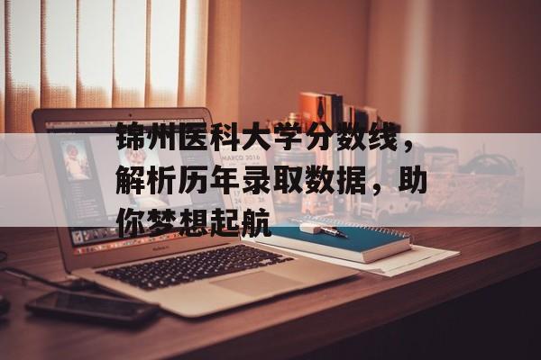 锦州医科大学分数线，解析历年录取数据，助你梦想起航