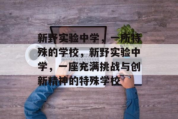 新野实验中学，一所特殊的学校，新野实验中学，一座充满挑战与创新精神的特殊学校