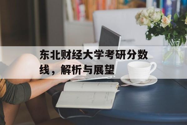 东北财经大学考研分数线,解析与展望 东北财经大学考研分数线,解析与展望