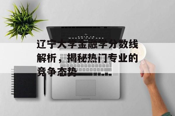辽宁大学金融学分数线解析，揭秘热门专业的竞争态势