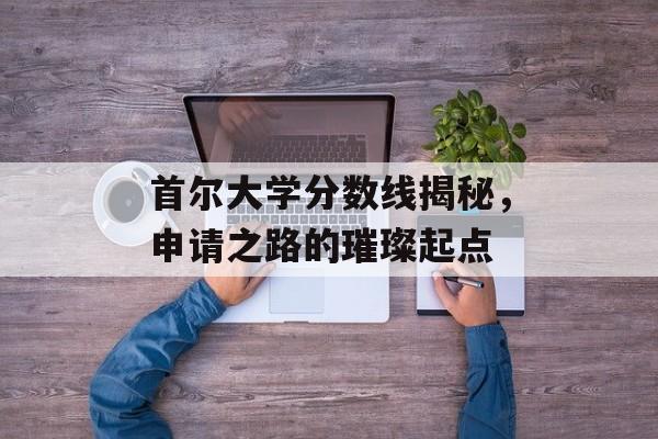 首尔大学分数线揭秘，申请之路的璀璨起点
