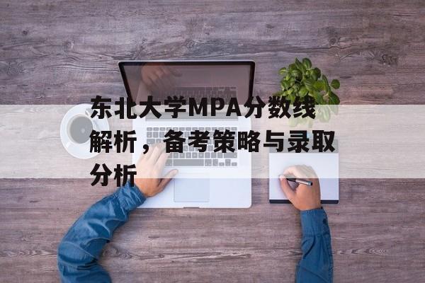 东北大学MPA分数线解析，备考策略与录取分析