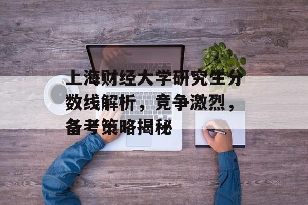 上海财经大学研究生分数线解析，竞争激烈，备考策略揭秘