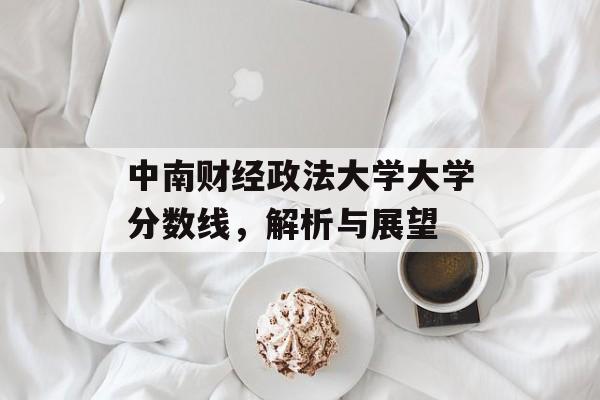 中南财经政法大学大学分数线，解析与展望
