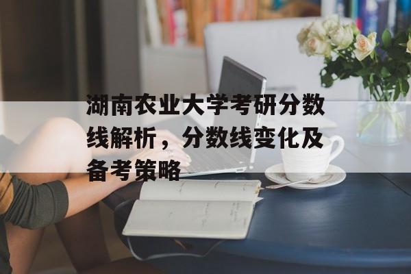 湖南农业大学考研分数线解析，分数线变化及备考策略