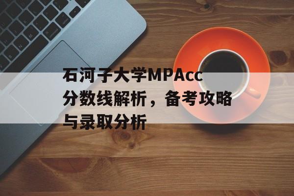 石河子大学MPAcc分数线解析，备考攻略与录取分析