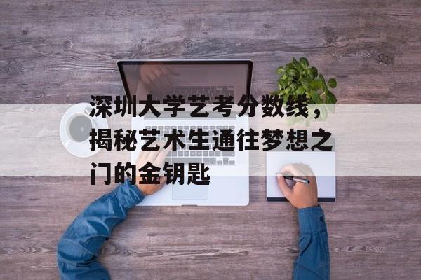 深圳大学艺考分数线，揭秘艺术生通往梦想之门的金钥匙