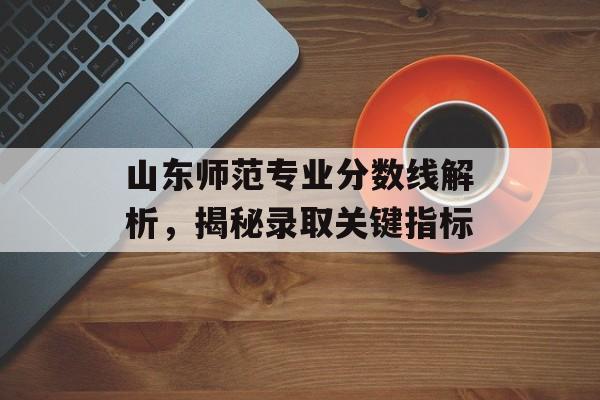 山东师范专业分数线解析，揭秘录取关键指标