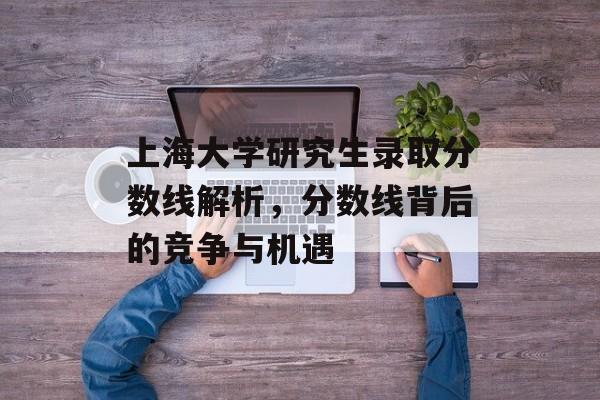 上海大学研究生录取分数线解析，分数线背后的竞争与机遇