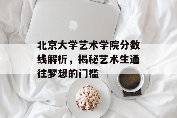 北京大学艺术学院分数线解析，揭秘艺术生通往梦想的门槛