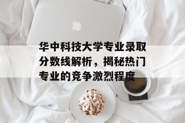 华中科技大学专业录取分数线解析，揭秘热门专业的竞争激烈程度