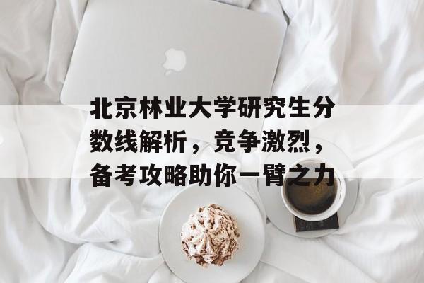北京林业大学研究生分数线解析，竞争激烈，备考攻略助你一臂之力