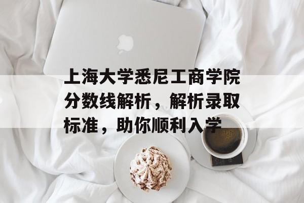 上海大学悉尼工商学院分数线解析，解析录取标准，助你顺利入学