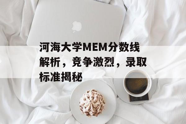 河海大学MEM分数线解析，竞争激烈，录取标准揭秘