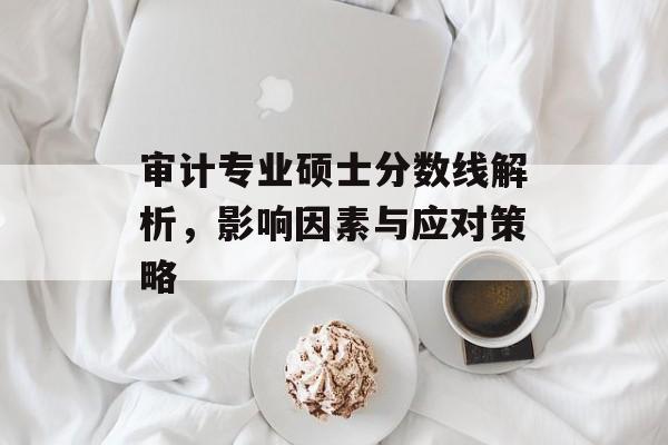 审计专业硕士分数线解析，影响因素与应对策略