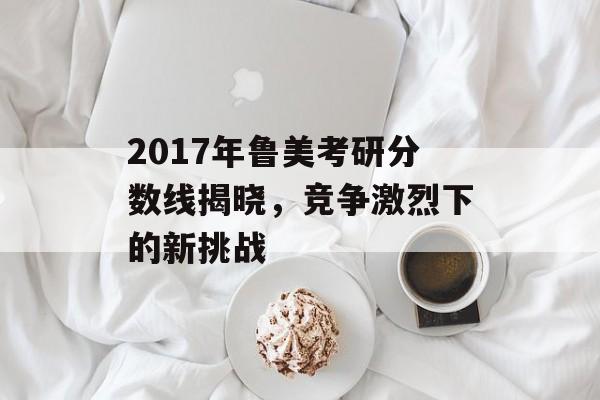 2017年鲁美考研分数线揭晓，竞争激烈下的新挑战