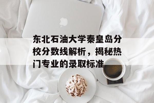 东北石油大学秦皇岛分校分数线解析，揭秘热门专业的录取标准