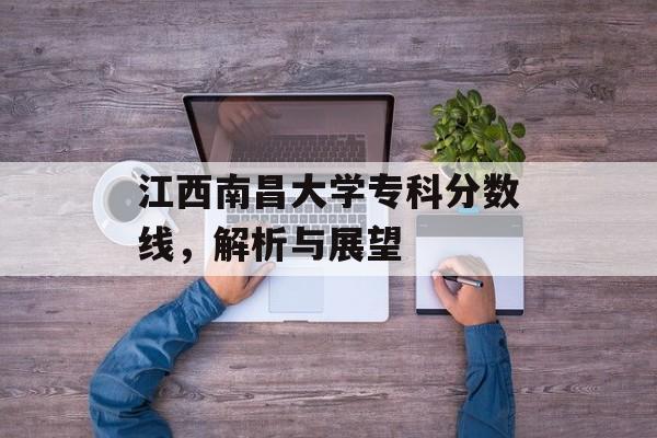 江西南昌大学专科分数线，解析与展望