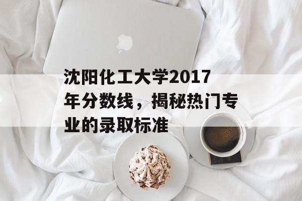 沈阳化工大学2017年分数线，揭秘热门专业的录取标准