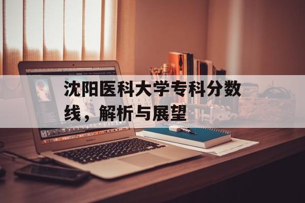 沈阳医科大学专科分数线，解析与展望