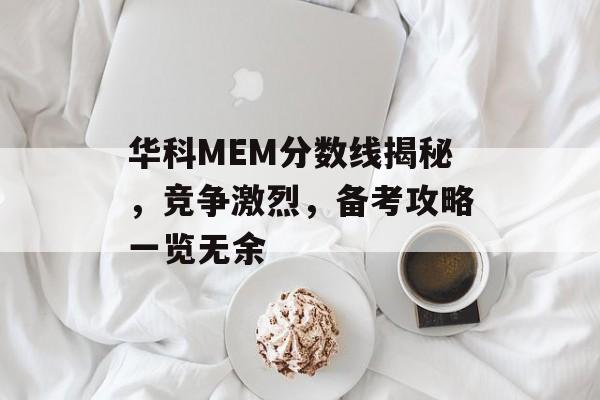华科MEM分数线揭秘，竞争激烈，备考攻略一览无余