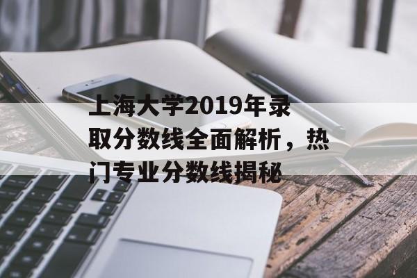 上海大学2019年录取分数线全面解析，热门专业分数线揭秘