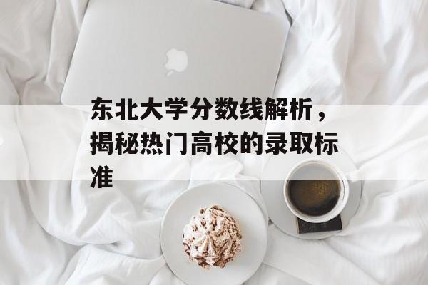 东北大学分数线解析，揭秘热门高校的录取标准