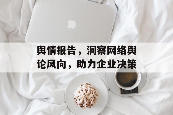 舆情报告，洞察网络舆论风向，助力企业决策