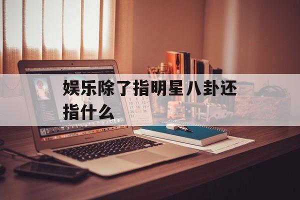 娱乐除了指明星八卦还指什么